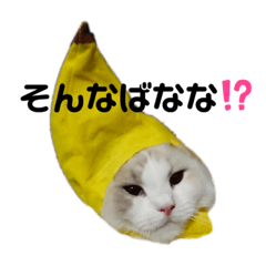 [LINEスタンプ] ラグずがやってきた！