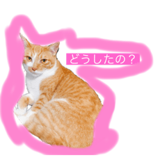 [LINEスタンプ] ひめちゃんと少してんちゃん