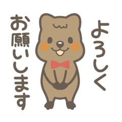 [LINEスタンプ] クオッカキッチン クーちゃんムムちゃん2