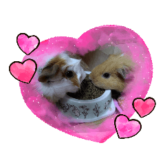 [LINEスタンプ] もも♡きなこ