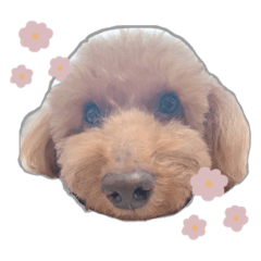 [LINEスタンプ] 高橋家のハルくん2