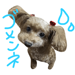[LINEスタンプ] おしゃべりルナちゃん