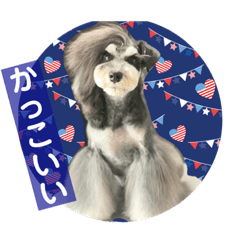 [LINEスタンプ] チマちゃんstamp2