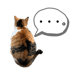[LINEスタンプ] きなちゃん(日常編)