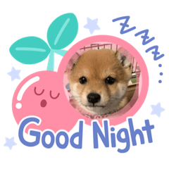 [LINEスタンプ] raito0804