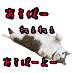 [LINEスタンプ] 虎徹とこじまの日常2