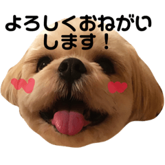 [LINEスタンプ] てっちゃんのけいご
