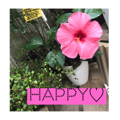 [LINEスタンプ] HAPPY stickers♡