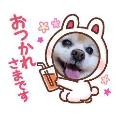 [LINEスタンプ] ぱぼた1