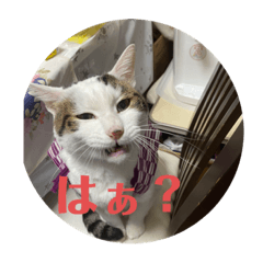 [LINEスタンプ] ハナテンスタンプ