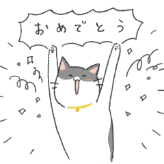 [LINEスタンプ] ゆるいハチワレねこ