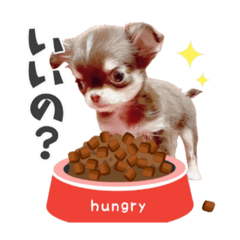 [LINEスタンプ] あずまるが宇宙一！！！