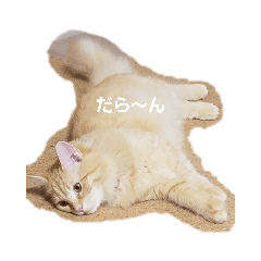 [LINEスタンプ] ちゃあちゃん 猫スタンプ2