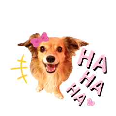 [LINEスタンプ] チワックス♡LOVE わん