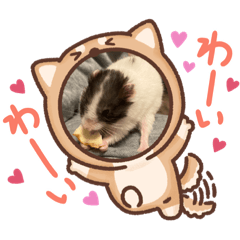 [LINEスタンプ] わたしとハムスター