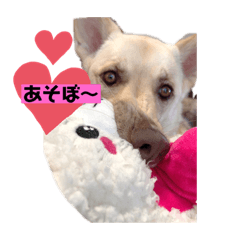 [LINEスタンプ] ワンコなひまわりチャン♡