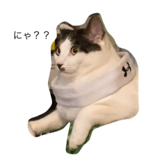 [LINEスタンプ] モモくんです！