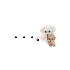 [LINEスタンプ] ♡可愛い子犬姉妹の小さめスタンプ♡