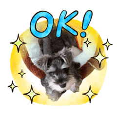 [LINEスタンプ] 8.ふく
