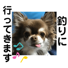 [LINEスタンプ] トラ（犬）の釣りスタンプ
