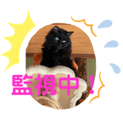 [LINEスタンプ] ラッキー✨