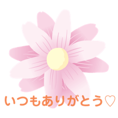 [LINEスタンプ] 褒めスタンプ♡♡