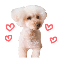 [LINEスタンプ] セスココポムverr