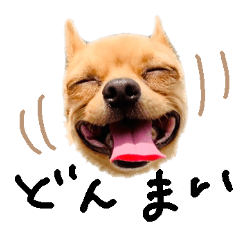 [LINEスタンプ] ぶさかわげんちゃん