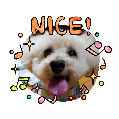 [LINEスタンプ] トイプードル♡レオ③