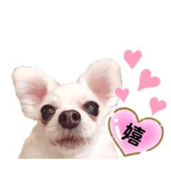 [LINEスタンプ] ♡friend♡Part1