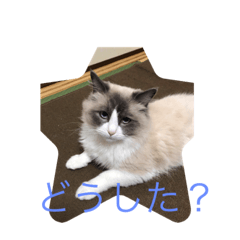 [LINEスタンプ] Rita 1267