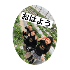 [LINEスタンプ] ゆずきらみうスタンプの画像（メイン）