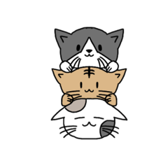 [LINEスタンプ] 一般的な猫