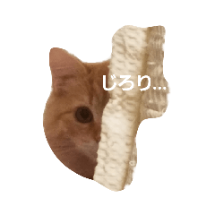 [LINEスタンプ] ラガマフィンのちゃあちゃん