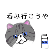 [LINEスタンプ] Maru_ ぶちゃかわ