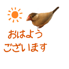 [LINEスタンプ] オカキとポンズの日常