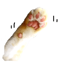 [LINEスタンプ] ねこ美の生活 第2弾