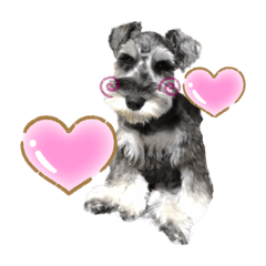 [LINEスタンプ] ロミーちゃんスタンプ