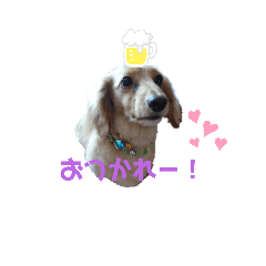 [LINEスタンプ] ぴーのすたんぷ。