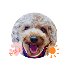 [LINEスタンプ] My Chocolat 2 ☆