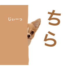 [LINEスタンプ] どうも、ちくわです