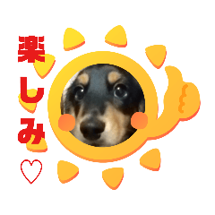 [LINEスタンプ] サナとゼノ