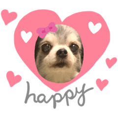 [LINEスタンプ] Loveわん♡more