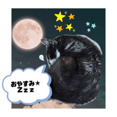 [LINEスタンプ] しんちゃこ