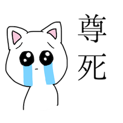[LINEスタンプ] ちょっとオタクなネコ