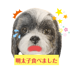 [LINEスタンプ] こてっちゃん_1