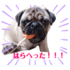 [LINEスタンプ] パグのぶん太