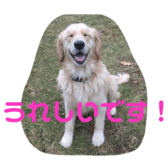 [LINEスタンプ] デン 2021