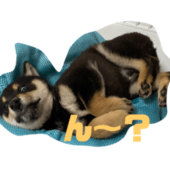 [LINEスタンプ] まさるの気持ちPart1