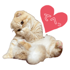 [LINEスタンプ] おこわすたんぷ